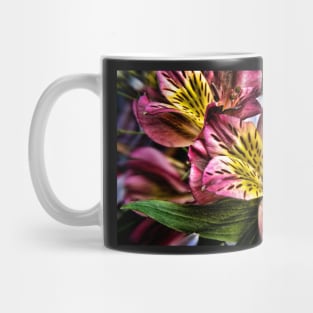 Alstroemeria Peruvian Lily flowers Mug